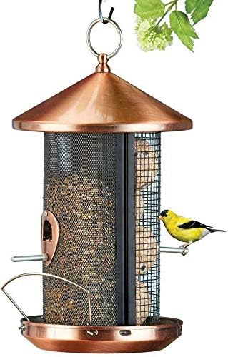 Amazon Com Bird Feeder Hanging Copper Metal Seeds Birds Squirrel
