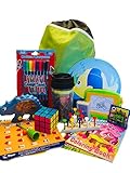 Travel Activity Bag Kit for Kids - Keep children busy on the airplane or in the car. For boys or girls age 6-12. Backpack, toys, games, crafts, travel cup and more. 16 piece bundle.