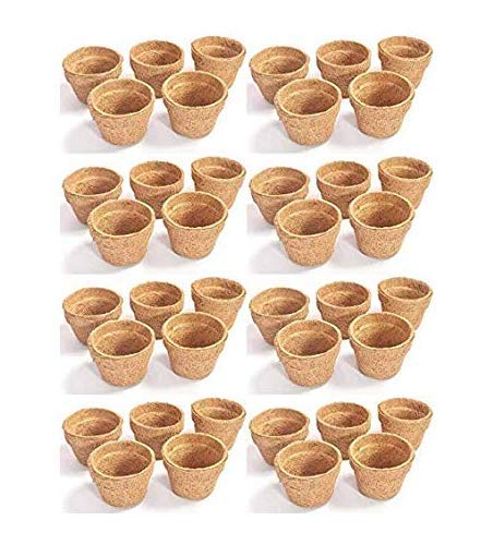 COIR GARDEN Eco Friendly Coir Pot Basket Large Size Seedling Cups for Plants (4-inch/10 cm) -40 Pieces