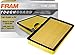 FRAM TGA9401 Tough Guard Flexible Panel Air Filter primary