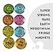 Strong Refrigerator Magnets for Fridge by StriveZen, Cute Rare Earth Glass Magnets for Whiteboard, Glass Board, Locker, Magnetic Dry Erase Board, Magnetic Whiteboard, Neodymium Magnet, Set of 8
