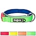 Blueberry Pet 4 Colors Soft & Comfy Summer Hope 3M Reflective Padded Dog Collar with O-Ring, Fluorescent Green, Small, Neck 12