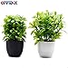 OFFIDIX Mini Plastic Artificial Eucalyptus Leaves Topiary Plant with Pots,Faux Plant Small Plants for Home,Office and Bathroom Decoration