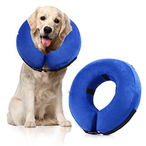 Best Cat Recovery Collars & Cones GistGear