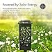 OxyLED Solar Path Lights, LED Garden Pathway Lights Solar Powered, Auto On/Off Decorative Landscape Lighting Security Light for Yard Patio Lawn Backyard Driveway Halloween Christmas (8-Pack)