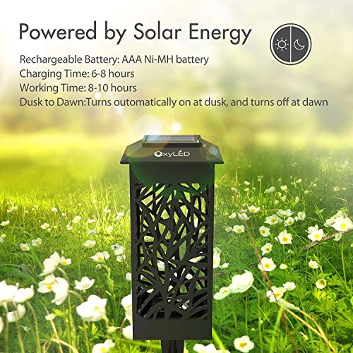 OxyLED Solar Path Lights, 8-Pack Solar Powered LED Garden Pathway Lights, Auto On/Off Led Decorative Landscape Lighting Driveway Security Light for Yard Garden Patio Lawn Backyard