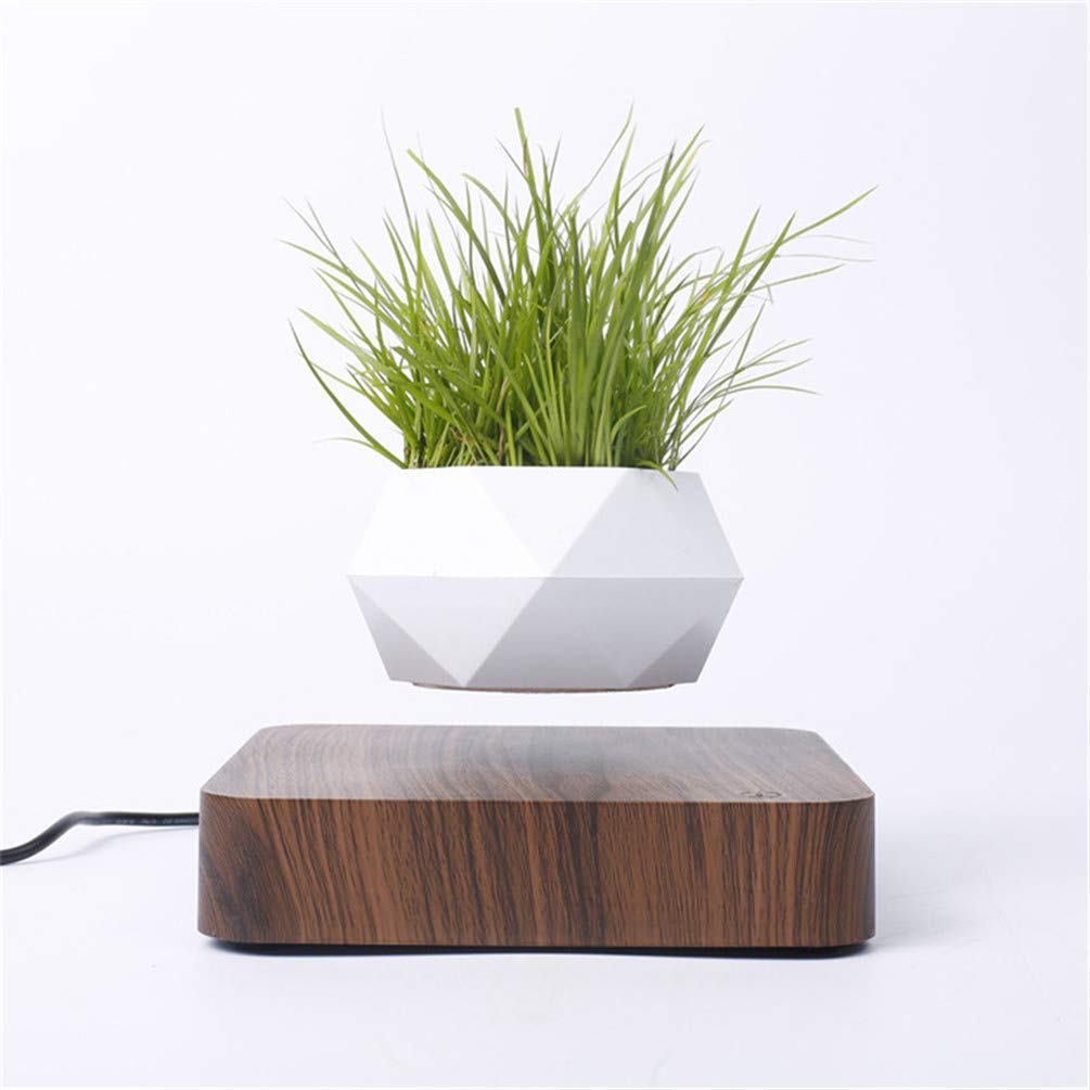 Kiko-ershaa Levitation Plant Pot Floating Air Bonsai Pot Suspension Flower Pot Planter for Desk Decoration