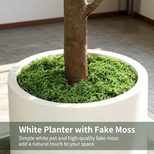 PEPEUNI Árbol Artificial 180CM Planta Artificial Decorativa Hogar, con Maceta Blanca y Musgo Artificial Realista, Ideal para Salones Oficinas Dormitorios