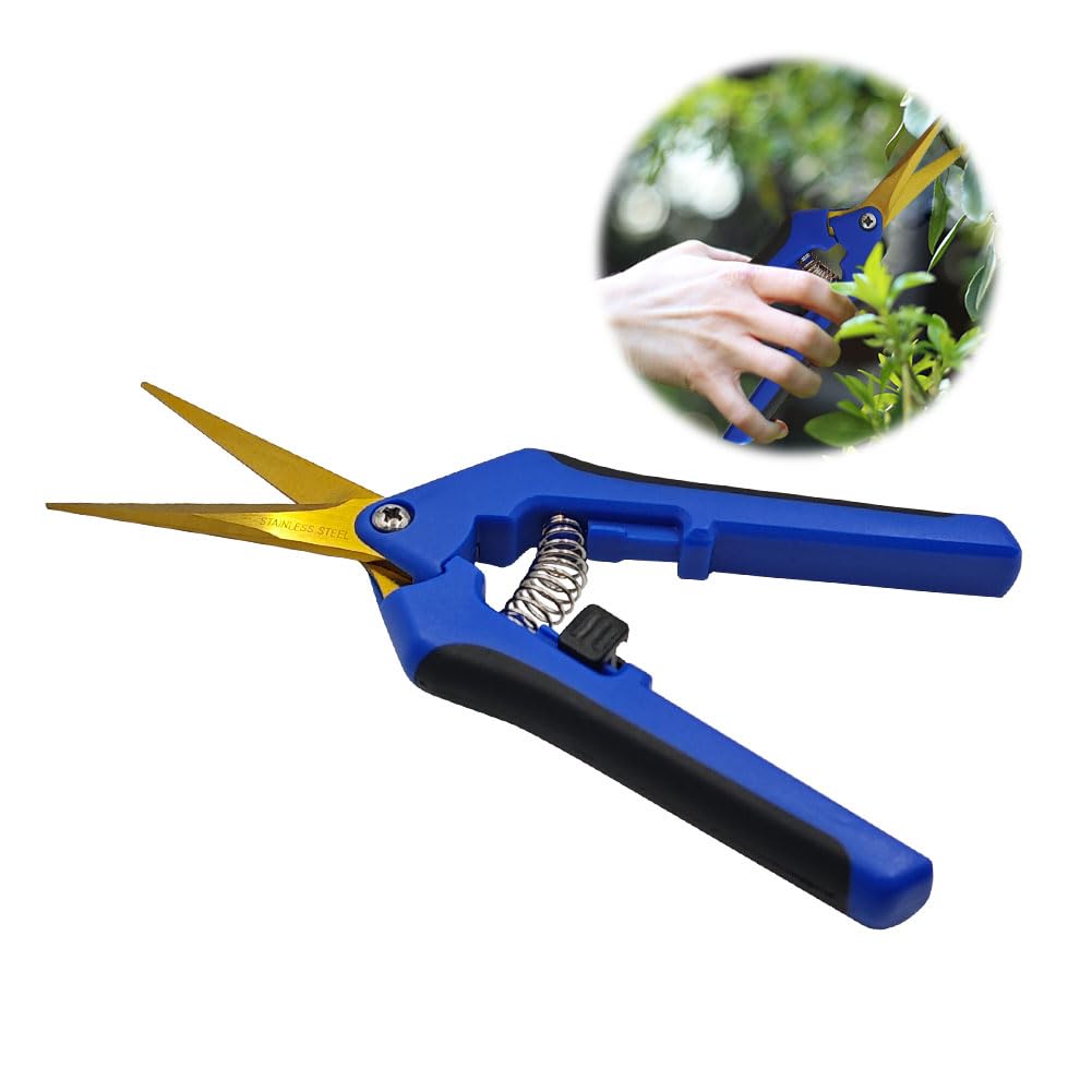 HAISHANG Professional Garden Scissors, Straight Tip Gardening Pruning Secateurs with Titanium Coated Blades, Flower Pruning Shears, Trimming Scissors for Florist Plants Vegetables Fruits Rose