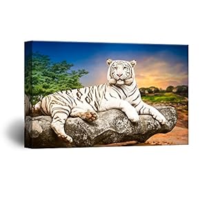 Canvas Wall Art - White Tiger Lying on The Rock - Giclee Print Gallery Wrap Modern Home Art Ready to Hang - 12x18 inches