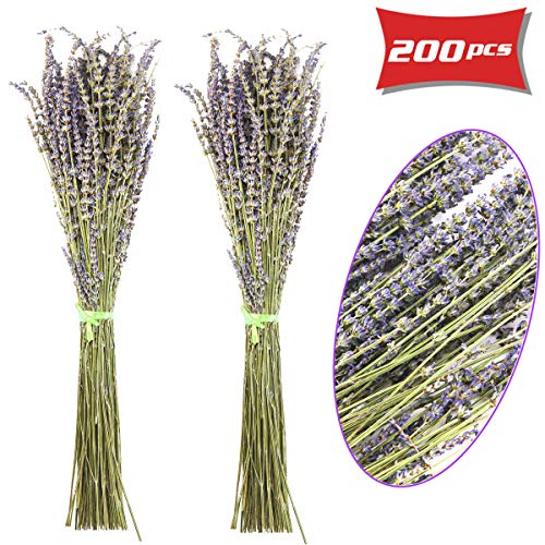 Oopsu 200Pcs 100% Natural Dried Lavender Dried Lavender Flowers for DIY Flower Arrangements Home Party Wedding Decor