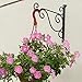 Huouo Set of 2 Iron Wall Hooks for Planters, Bird Feeders, Lanterns, Wind Chimes 10