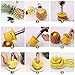 Pineapple Corer Slicer Pineapple Cutter Stainless Steel Peeler Stem Remover Blades for Diced Fruit Rings