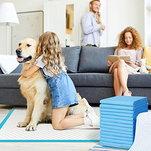 LICHENXI Almohadillas Desechables para Entrenamiento de Mascotas y Almohadillas para Orinal para Mascotas, súper absorbentes y a Prueba de Fugas, Perros, Gatos, Conejos (60x60cm (40 pcs))