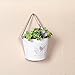 Watering Honey French Country Rustic White Shabby Chic Mini Metal Wall Hanging Planters