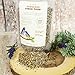 Dr. Harvey’s Fabulous Finch Food for Outside Feeder and Indoor Birds- Premium Bird Feed with Seeds, Nuts, Fruits, Vegetables for Finches (4 Pounds)