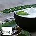 For Women, Men & Children - Ultimate Aloe Skin Care Cream – 8 oz of Organic Aloe Vera Based Face and Body Cream with Coconut Oil, Vitamins C, A, B, E, - Help for - Rashes, Sunburn, and Acne!