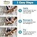 Paw Choice Dry Shampoo for Dogs - Waterless No-Rinse Foam for Odor Removal, Cleaning, Conditioning - Hypoallergenic, Natural - Safe for Sensitive Skin - Made in USA - Mango Pomegranate Scent