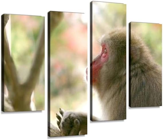 Amazon アートパネル サル 横顔猿 動物 自然 生き物 季節 さる 年賀素材 はがき ハガキ サル 申年 申 年賀状素材 年賀はがき 16 年賀状インテリア 絵画 壁掛け ポスター キャンバス 部屋飾り アート 壁キャンバス 壁飾り 壁キャンバス絵画 おしゃれ 北欧 新築飾り