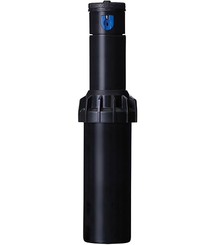Amazon.com : Hunter I-20 6