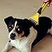 Airsspu Dematting Tool for Dogs, Dematting Comb for Cats, Dog Grooming Brush Tool, 2 Sided Steel Undercoat Rake for Dogs and Cats with Long or Short Hair