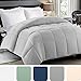 Cosy House Collection Premium Down Alternative Comforter - Silver - All Season Bedding - Lightweight and Machine Washable - Duvet Insert - (Full/Queen)
