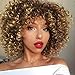 N&T Nicole and Tulip N&T Ombre Afro Kinky Curly Wigs for Black Women Ombre Blonde Synthetic Curly Hair Daily for Women