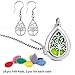 RoyAroma Aromatherapy Essential Oil Diffuser Necklace Stainless Steel Pendant Perfume Locket Women Jewelry