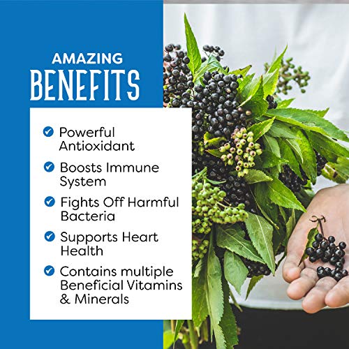 Dried Elderberries, 1lb, Dried Elderberry Berries Bulk, Elderberry