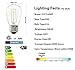 S14 LED Filament Bulbs 2W, Vintage Edison Led Light Bulbs,20Watt Incandescent Bulb Equivalent, 2700K (Warm White), 200 Lumens, Great for String Lights, Commercial Lighting, Patio, Wedding, 15 Pack