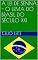 Livro A LEI DE SENNA -  O LEMA DO BRASIL DO SÉCULO XXI