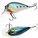 INDELITE 233Pcs Fishing Lure Kit Variety Set for Pros and Beginners Conveniently Packed in Tackle Box for Men, Women and Ice Fishing Enthusiasts