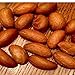 0.5 LBs Bitter Kola Nuts 100% Natural Garcinia Kola Non GMO Herbal Organic African Cola Nut bitter kolanuts (0.5 LBs)