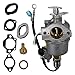 Karbay Carburetor for Onan Cummins A041D736, Microquiet 4000-Watt 4KYFA26100 4KYFA26100P 4KYFA26100K With Gaskets