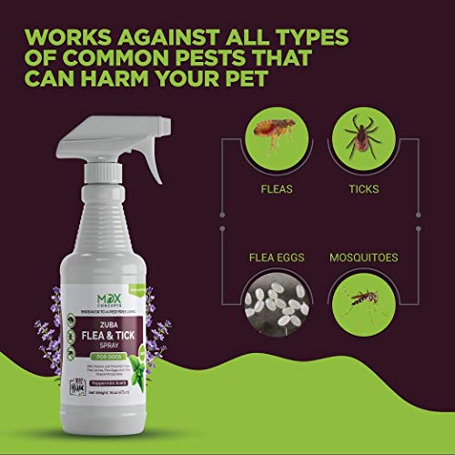 mdxconcepts Organic Flea and Tick Control Spray for Dogs Made in USA