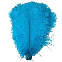 Ewandastore 20pcs Ostrich Feathers,10-12inch 25-30cm Real Natural Ostrich Feathers DIY Craft Feather for Home Party Wedding Decoration(Lake Blue)