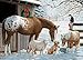 Keeping Busy Barnyard Greetings 35 Piece Sequenced Jigsaw Puzzle Engaging Activities/Puzzles/Games for Dementia and Alzheimer's by Keeping Busy for Older Adults