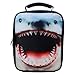Nailhead Shark Insulated Shark Insulated Lunch Bag by Accessory Innovations