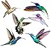 Quotidian Products Hummingbird Window Clings-Anti Collision Decal to Prevent Bird Strikes on Doors & Windows Static,UV Resistant & Non Adhesive Vinyl Cling-Deterrent Decal & Glass Decor to Alert Birds