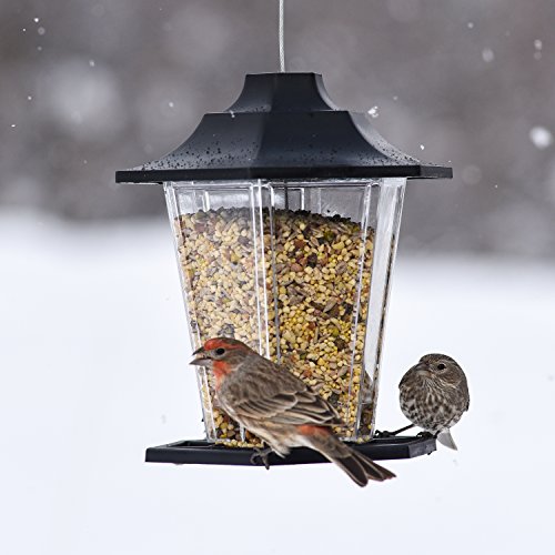 Perky-Pet Carriage Bird Feeder 310