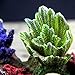 Ainany Artificial Resin Coral Reef Aquarium Ornament Fish Tank Decoration Simulation Coral Reefthumb 4