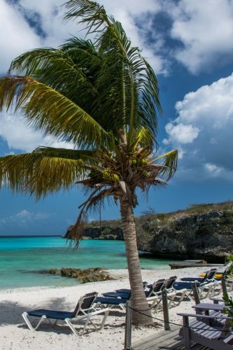 Download Welcome to Paradise Journal Download Welcome to Paradise Journal