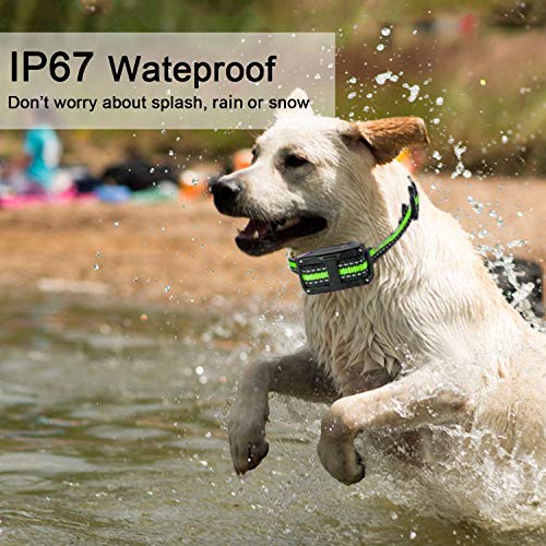6 Adjustable+Sensitivity+Levels+Dual+Anti+Barking+Modes+Rechargeable