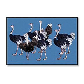 Framed Canvas Wall Art for Living Room, Bedroom Animals Canvas Prints for Home Decoration Ready to Hang - 16x24 inches