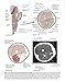 Clinically Oriented Anatomy, Fifth Edition