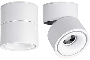 YODABA LED Indoor Ceiling Spotlight 360°Adjustable -Surface Mounted COB Lighting-10W LED Warm White Light 3000K/Cool White 6000K Ceiling Downlight -Aluminum Wall Lamp/Wall Swivel Lamp(White,6000K Cool White)
