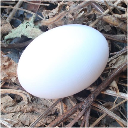 6Pcs Wooden Faux Fake Eggs,Easter Eggs,Children Play Kitchen Game Food Toy - White Color