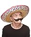 Mustaches Self Adhesive Fake Mustache, Novelty, Large Dali Black False Facial Hair, Costume Accessory for Adults, Black Color