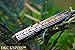DKC Knives (121 5/18) DKC-136 Chief Damascus Steel Folding Pocket Knife 4.5