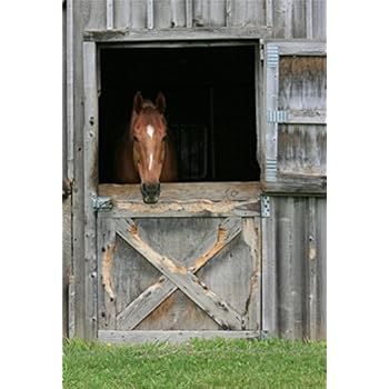 Amazon.com : LFEEY 6x9ft Farm Grassland Barn Door Backdrop